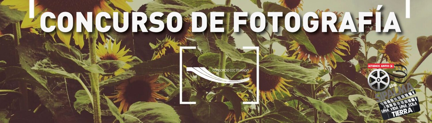 Banner_Mesa de trabajo 1